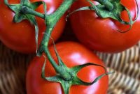 25 Recipes and Uses for Extra Tomatoes
