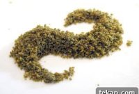 Spirulina Gomasio Seasoning Recipe