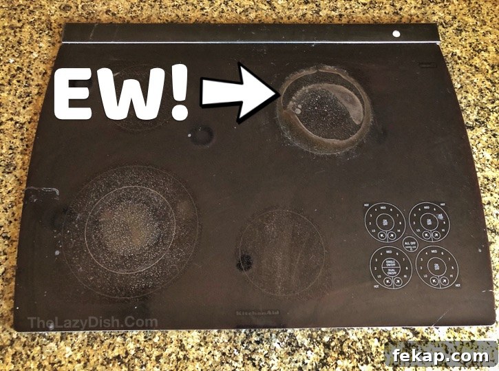 featured 270