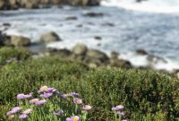 5 Small Habits That Make a Big Difference