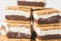 Frozen S’mores Ice Cream Bar Recipe