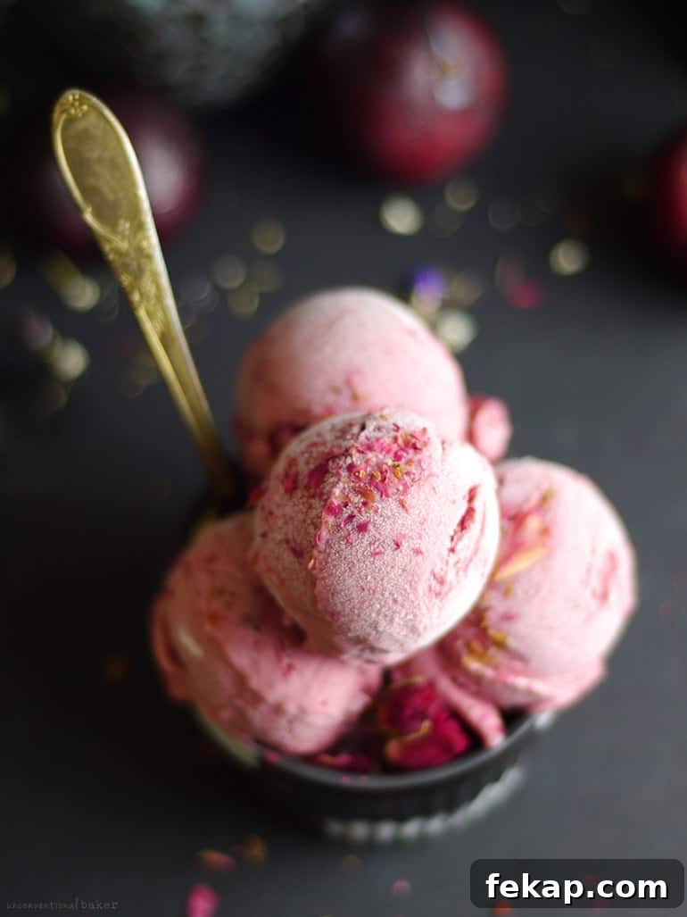 Creamy Balsamic Plum Ice Cream Recipe 5 Balsamic Plum Ice Cream (No Churn, Dairy-Free, Refined Sugar-Free)