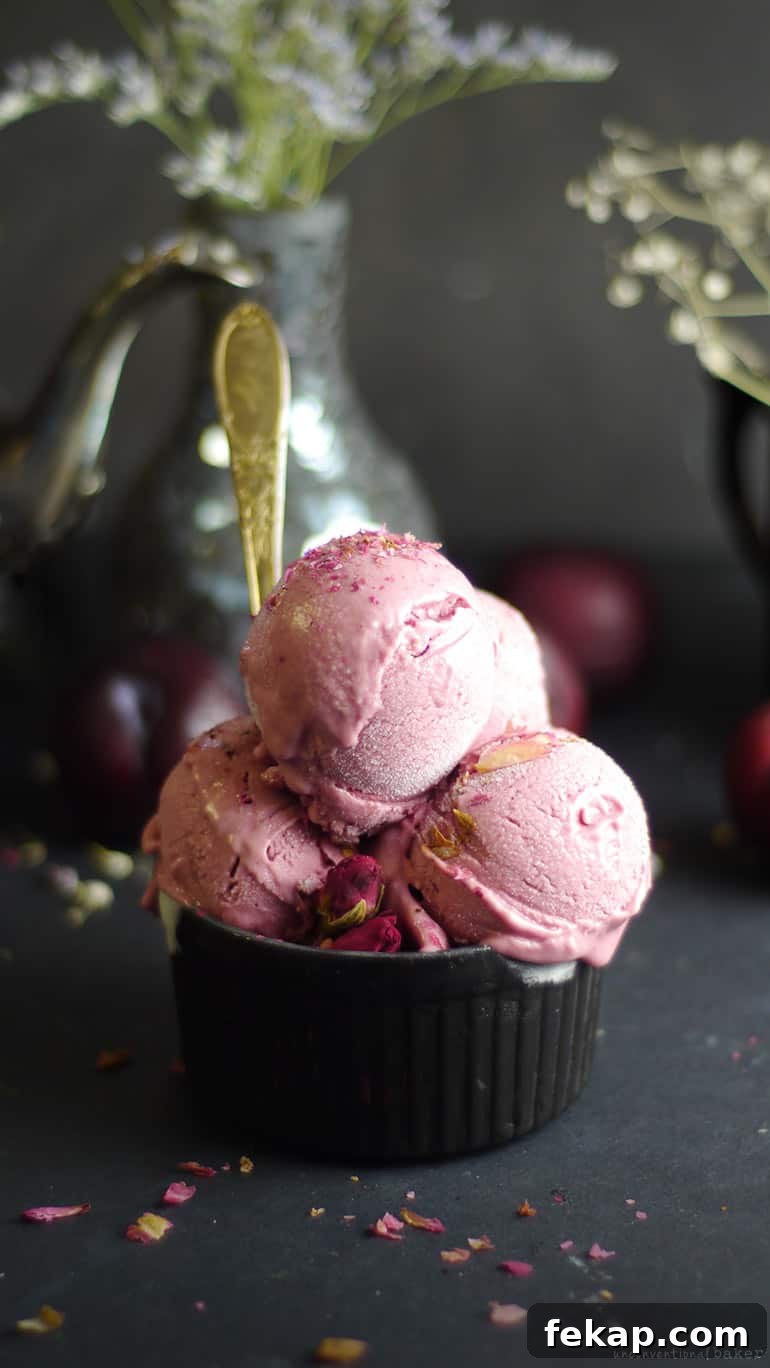 Creamy Balsamic Plum Ice Cream Recipe 6 Balsamic Plum Ice Cream (No Churn, Dairy-Free, Refined Sugar-Free)