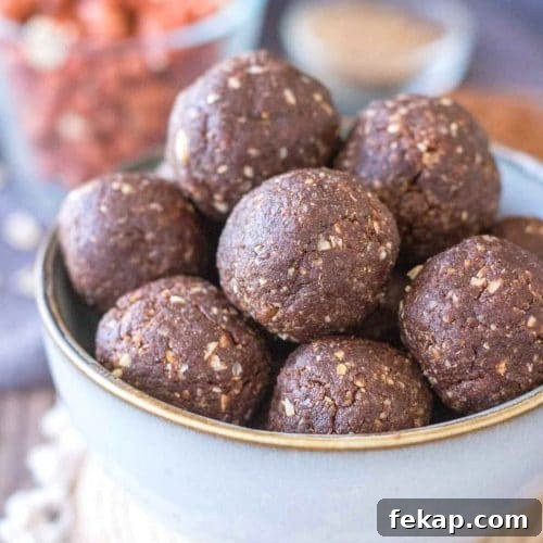 Chocolate Peanut Butter Protein Balls