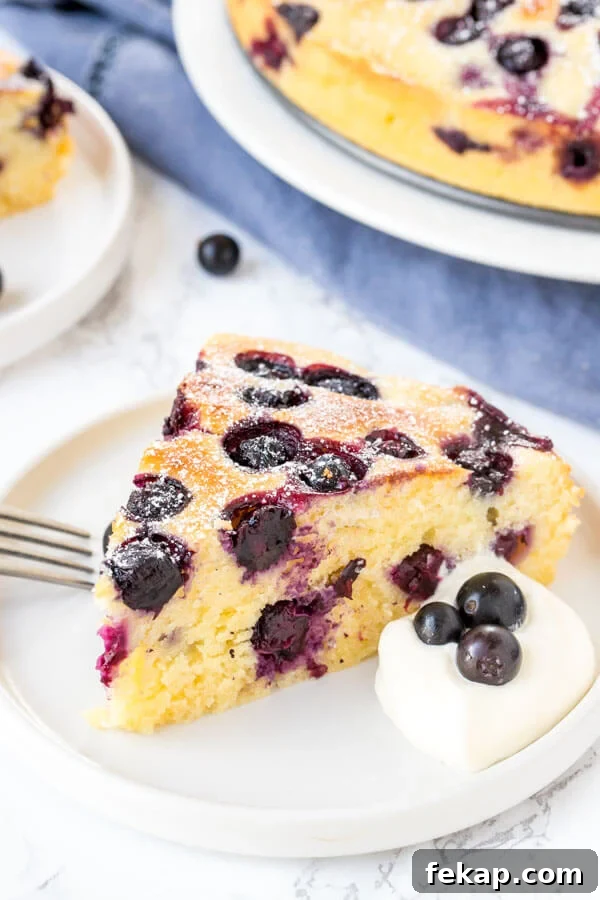 Beautiful blueberry cake is supremely moist, with a deliciously soft & tender crumb, and a slight hint of lemon. It's not too sweet - which makes it ideal for afternoon tea or brunch.