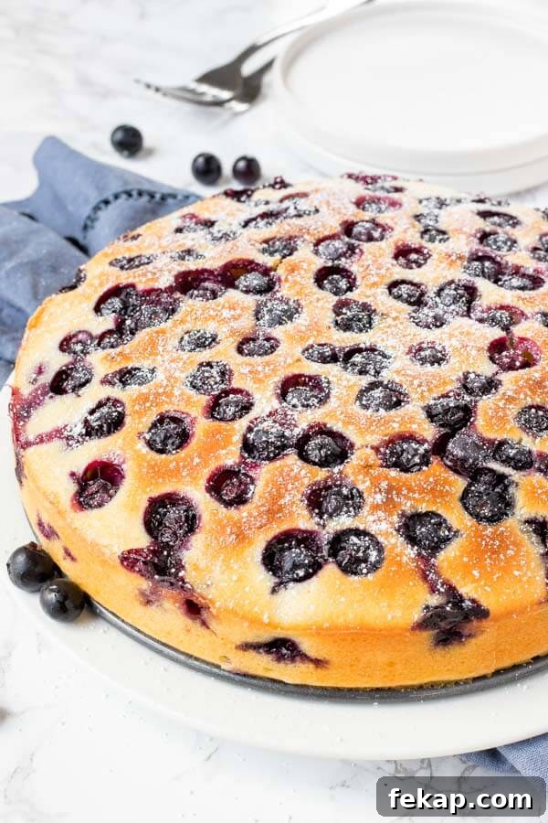 Moist blueberry cake with tons of blueberries on top and in the middle with just a hint of lemon. 
