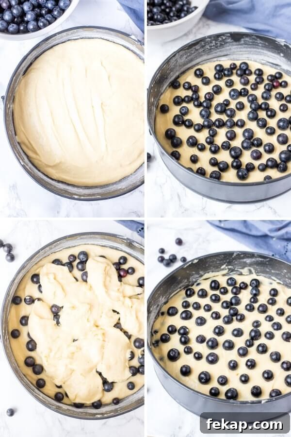 Step by step collage photos showing how to make blueberry cake that's moist and tender. 