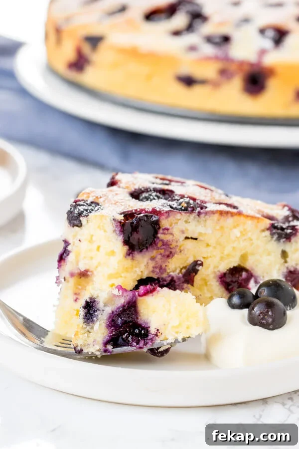 Close up shot of a slice of moist blueberry cake with a bite taken out of it. 