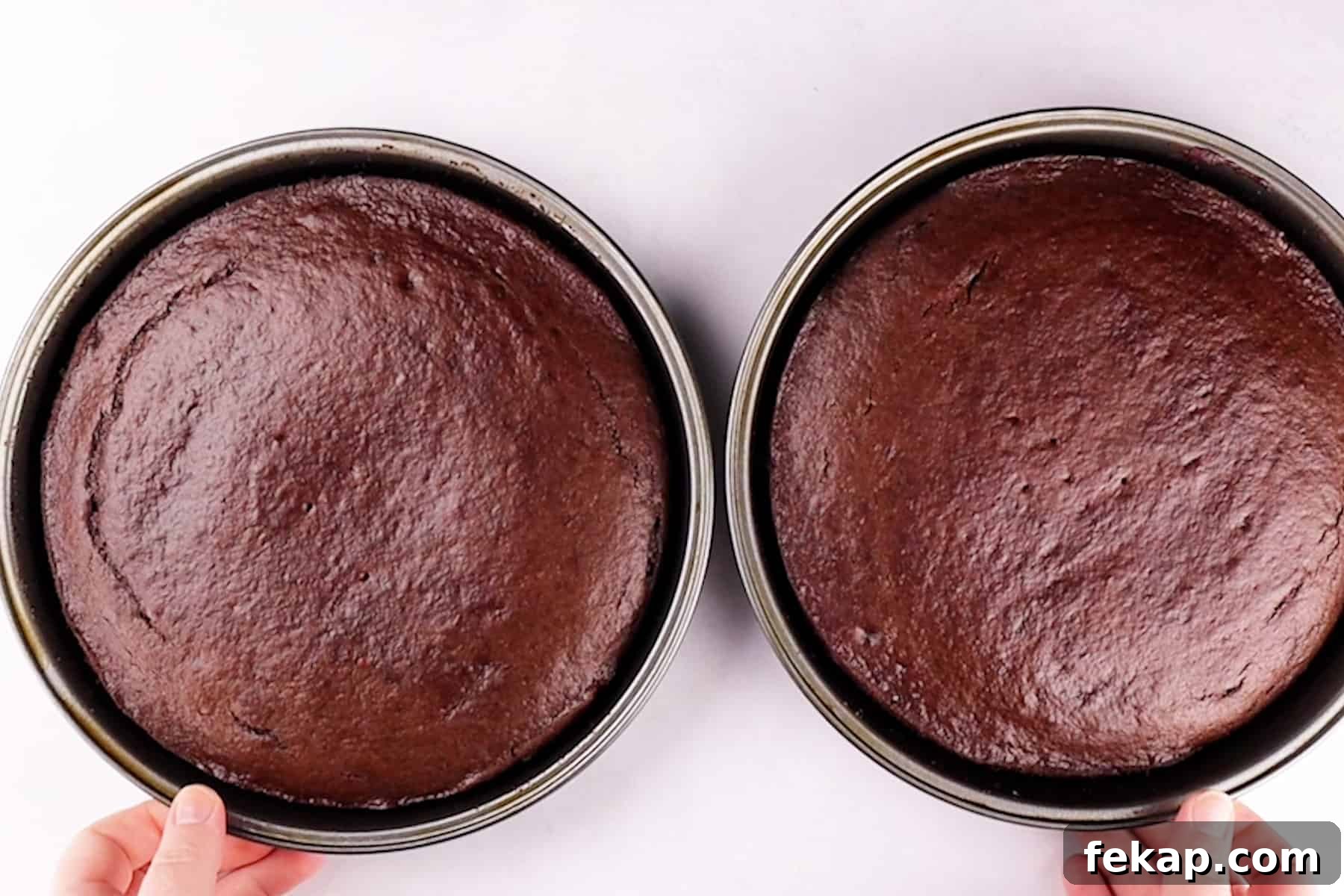 Moist Chocolate Strawberry Cake Recipe 8 cake baked still in cake pan.