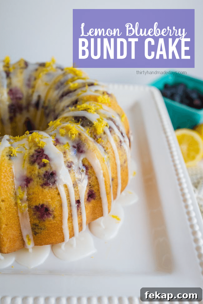 Lemon Blueberry Bundt Cake Recipe with Zesty Glaze 2 The best ever Lemon Blueberry Bundt Cake - perfect treat for Spring! www.thirtyhandmadedays.com