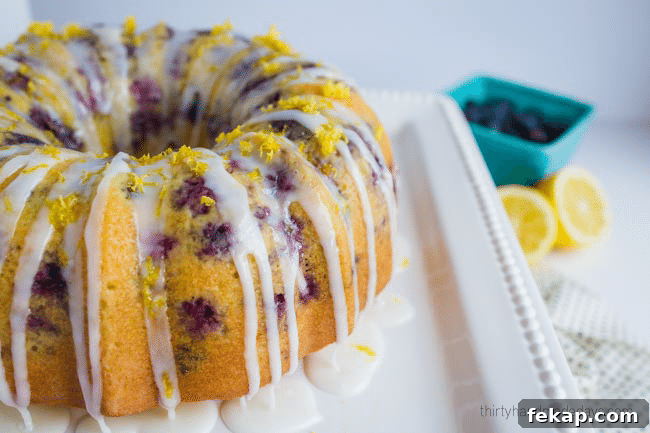 Lemon Blueberry Bundt Cake Recipe with Zesty Glaze 3 The best ever Lemon Blueberry Bundt Cake - perfect treat for Spring! via www.thirtyhandmadedays.com