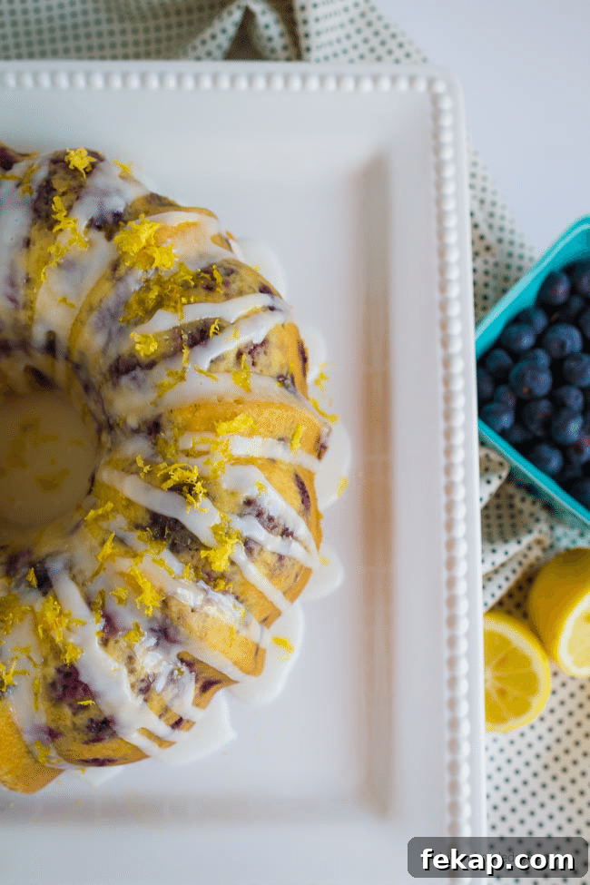 Lemon Blueberry Bundt Cake Recipe with Zesty Glaze 4 The best ever Lemon Blueberry Bundt Cake - perfect treat for Spring! thirtyhandmadedays.com