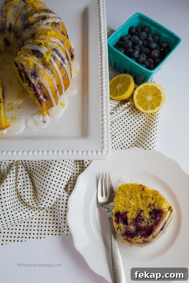 Lemon Blueberry Bundt Cake Recipe with Zesty Glaze 5 The best ever Lemon Blueberry Bundt Cake - perfect treat for Spring! from thirtyhandmadedays.com