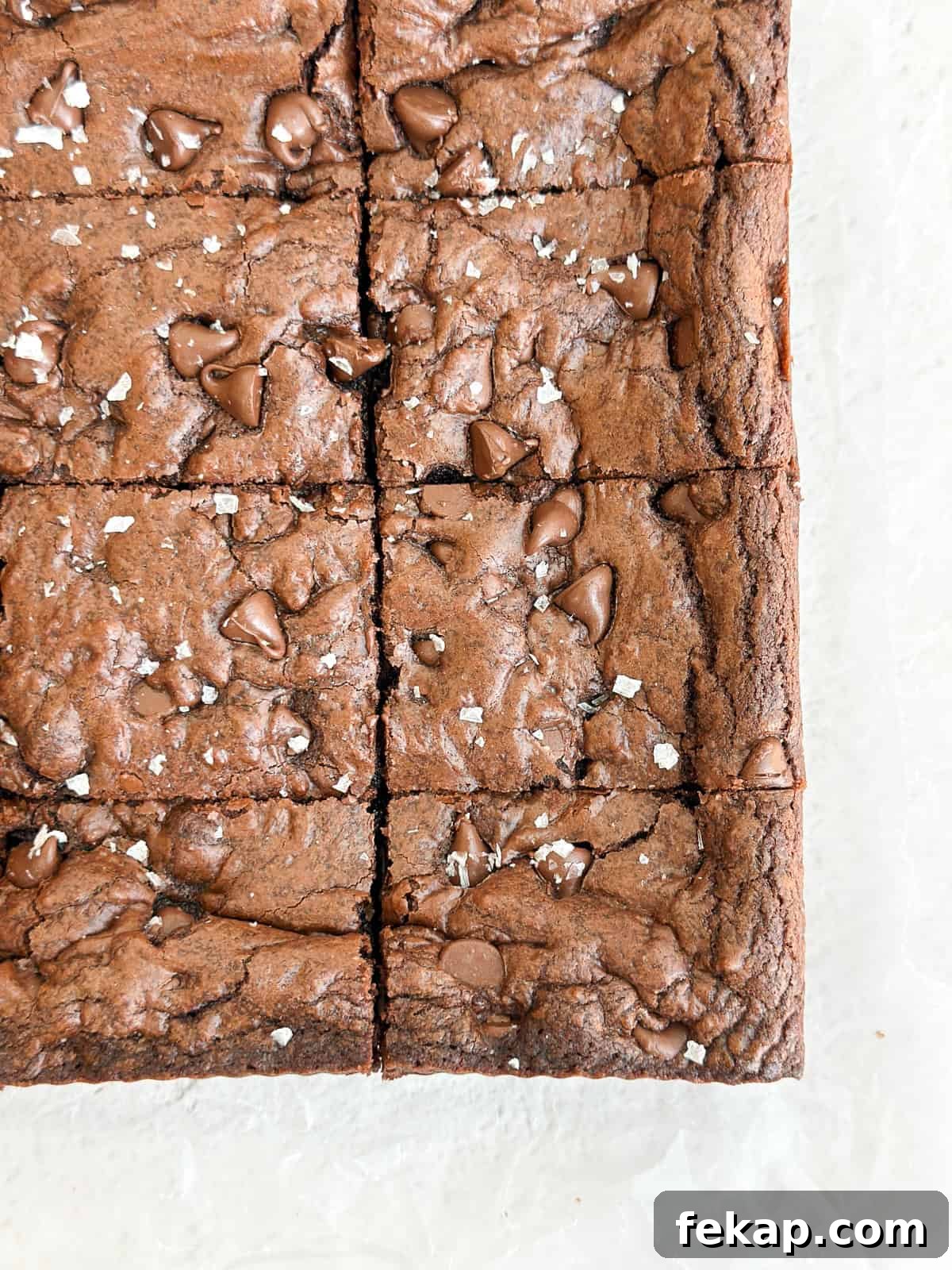 Fudgy Double Chocolate Cookie Bars Recipe 11 a close up of a few bars.