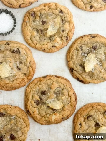 Fudgy Double Chocolate Cookie Bars Recipe 14 a bunch of chocolate chip potato chip cookies with a little salt on the side.