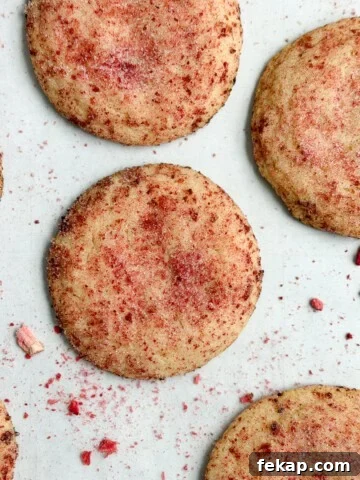 Fudgy Double Chocolate Cookie Bars Recipe 15 strawberry doodle cookies on a cookie sheet.