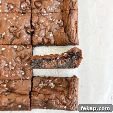 Fudgy Double Chocolate Cookie Bars Recipe 16 double chocolate cookie bars cut and one turned on its side to see the inside texture.