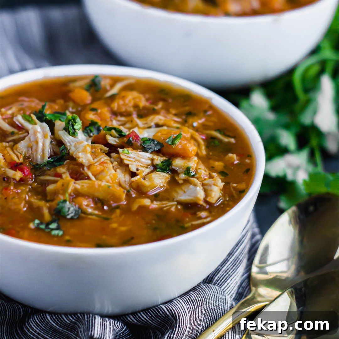 Whole30 Slow Cooker Recipes for Busy Weeknights 3 Whole30 Salsa Chicken Stew