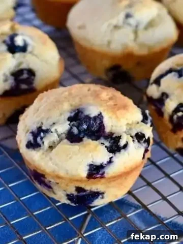 Blueberry ricotta muffins.
