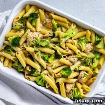 baked chicken alfredo in white casserole dish