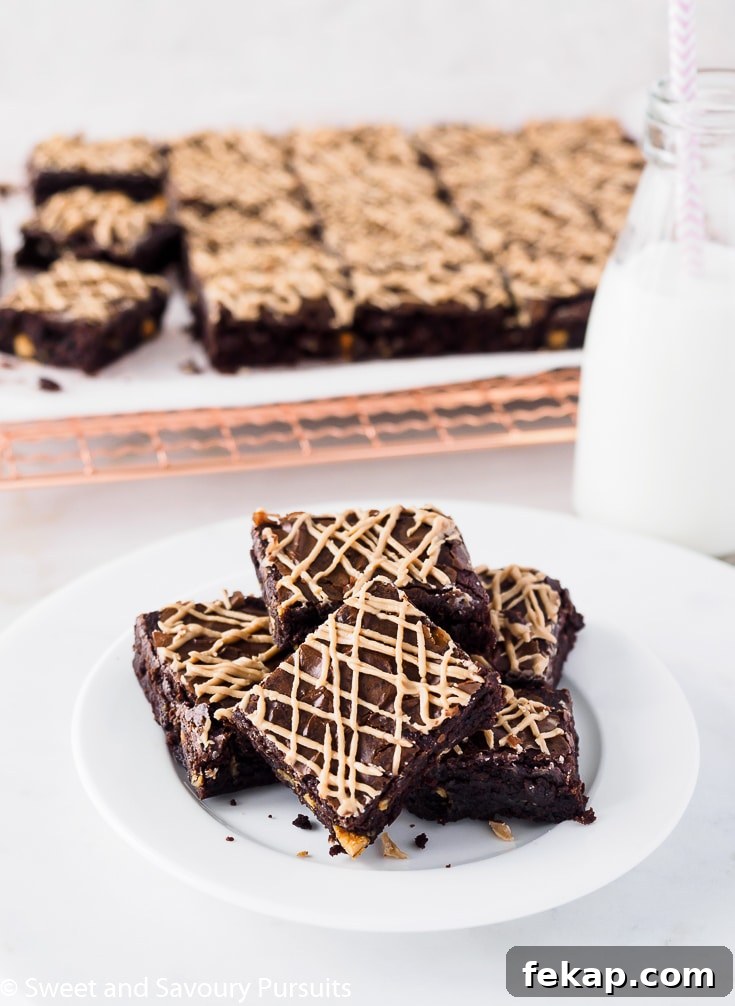 Fudgy Salted Caramel Chocolate Chip Brownies Recipe 2 Salted Caramel Chip Brownies