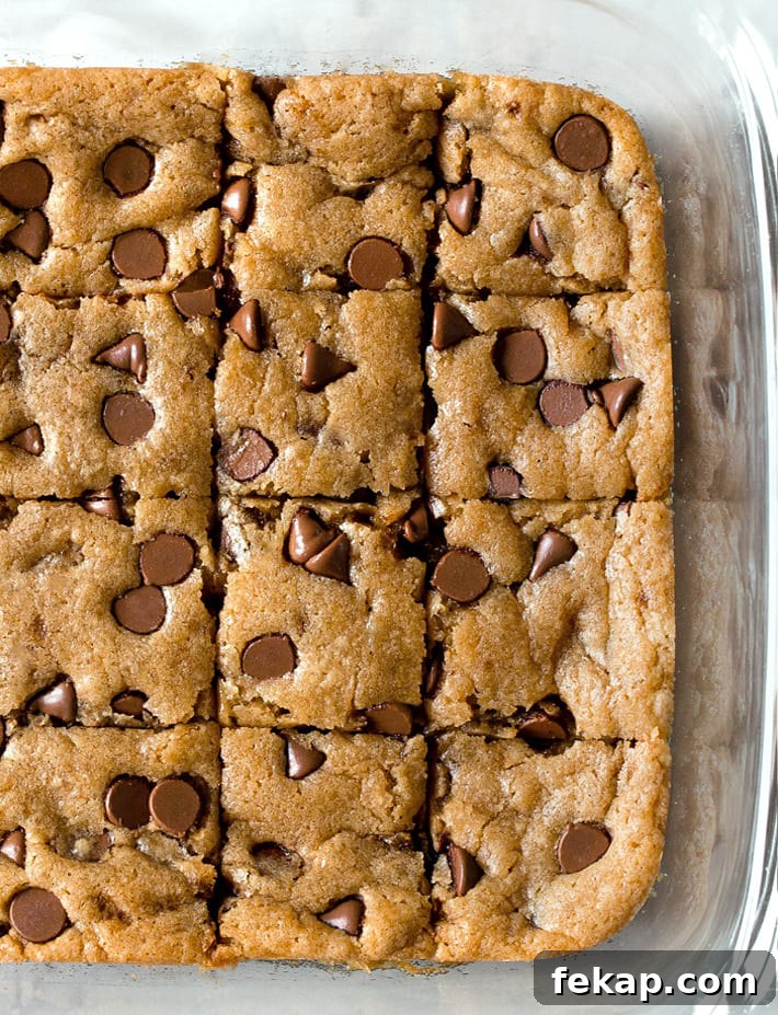 Vegan Chocolate Chip Cookie Bars