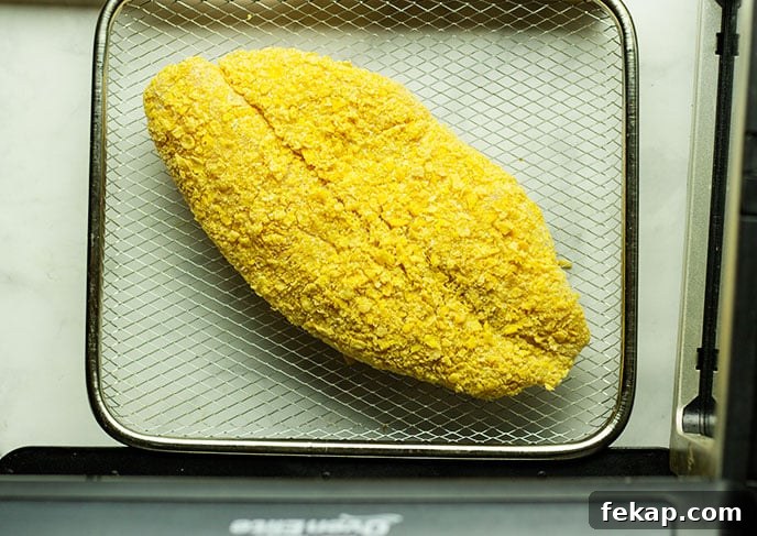 tilapia in air fryer