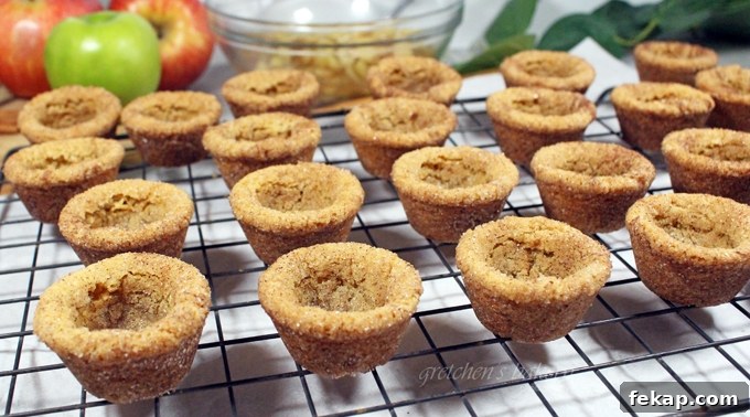 Snickerdoodle Apple Pie Bites