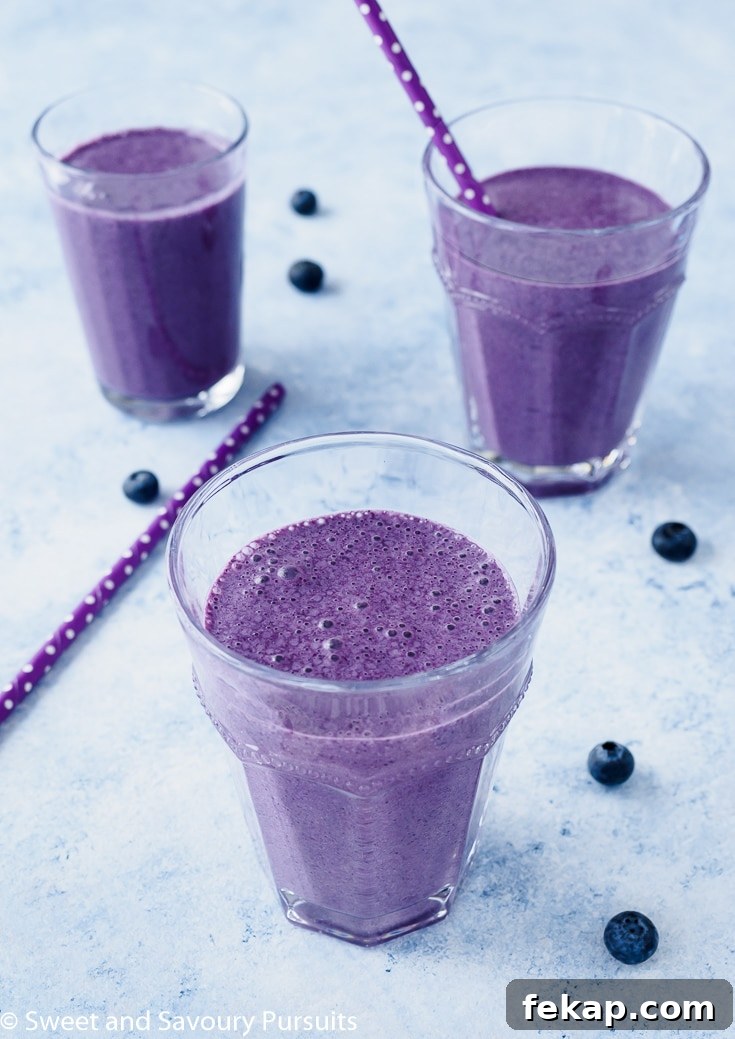 Creamy Blueberry Oatmeal Smoothie Recipe 2 Blueberry Oatmeal Smoothie flavoured with coconut, cinnamon and nutmeg served in glasses.
