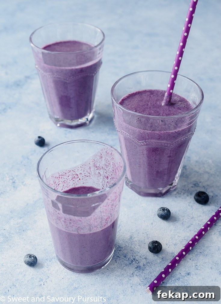 Creamy Blueberry Oatmeal Smoothie Recipe 4 Blueberry Oatmeal Smoothie in glasses.