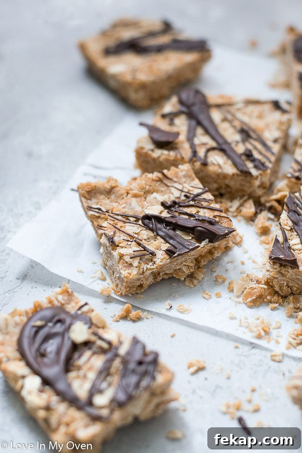 oatmeal peanut butter granola bars
