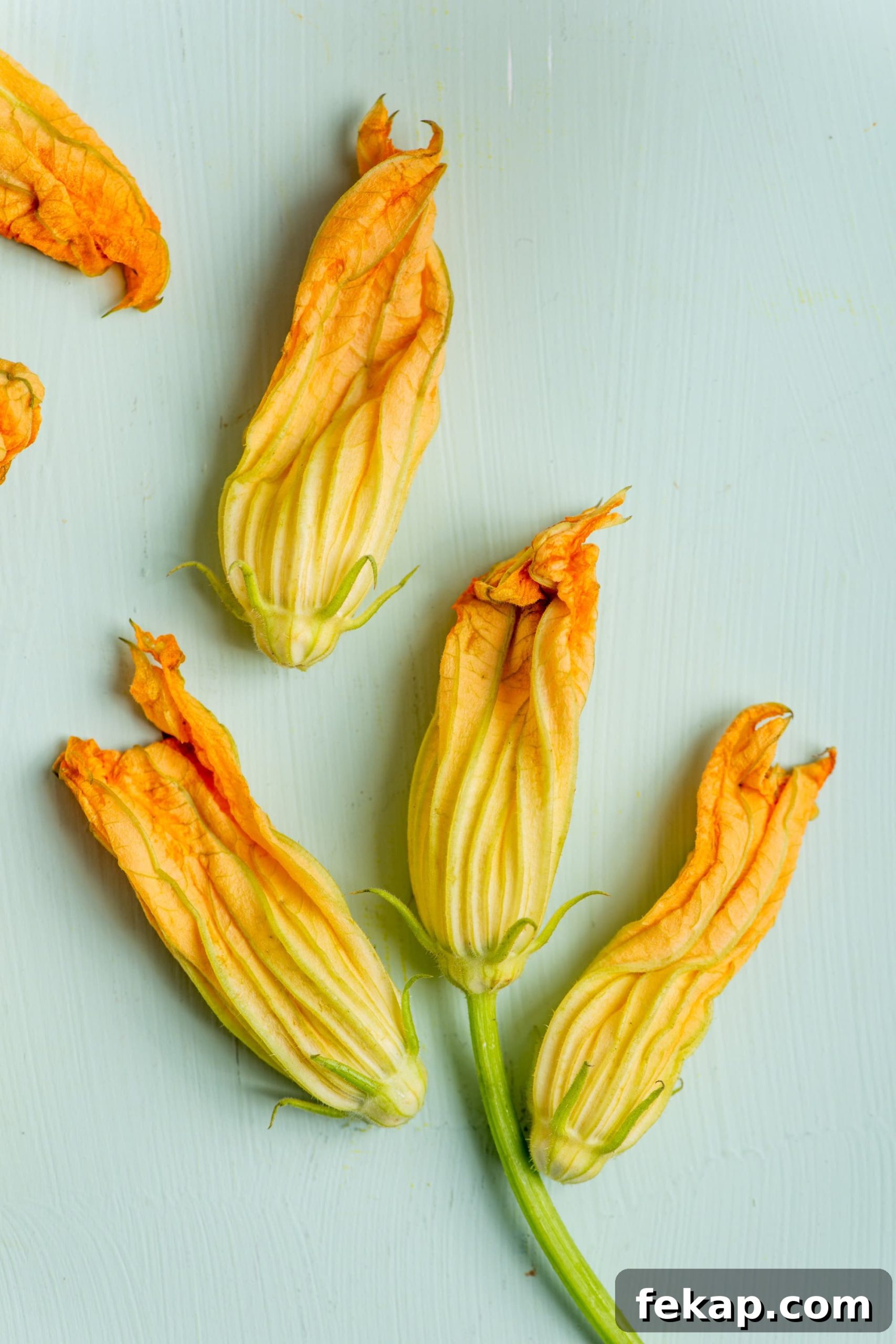7 Delicious Ways to Cook Zucchini: Roast, Saute, Grill 9 Zucchini Squash Blossoms on teal table top.