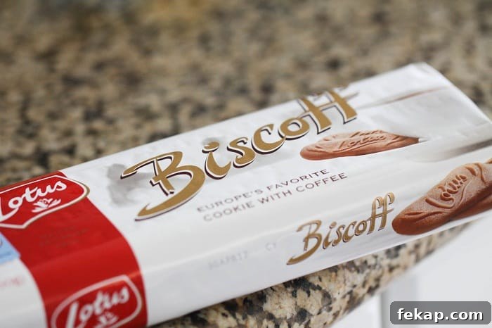 Image of a Package of Biscoff Cookies