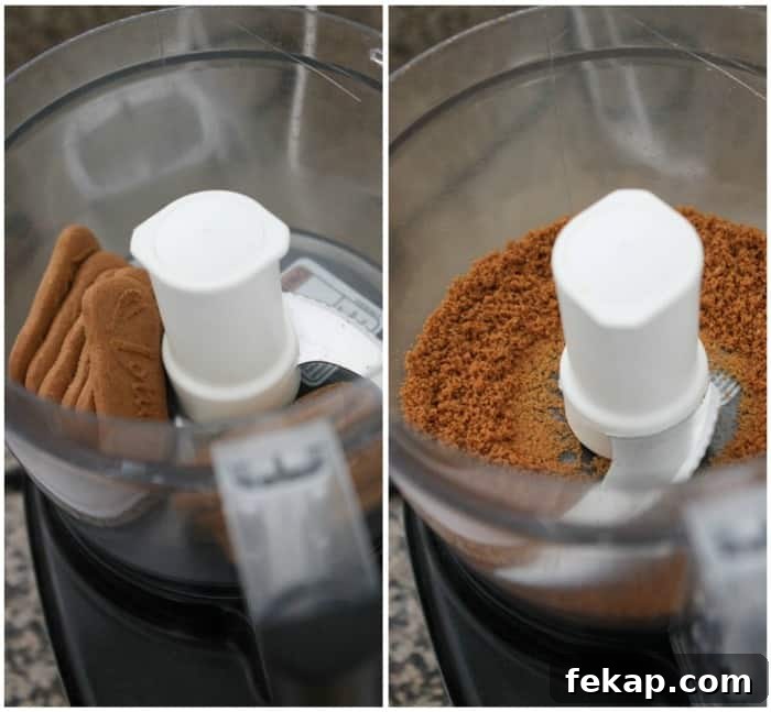 Image of Biscoff Cookies in a Blender