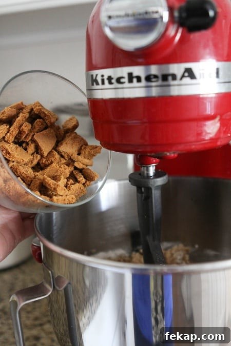 Image of Coarsely Chopped Biscoff Cookies