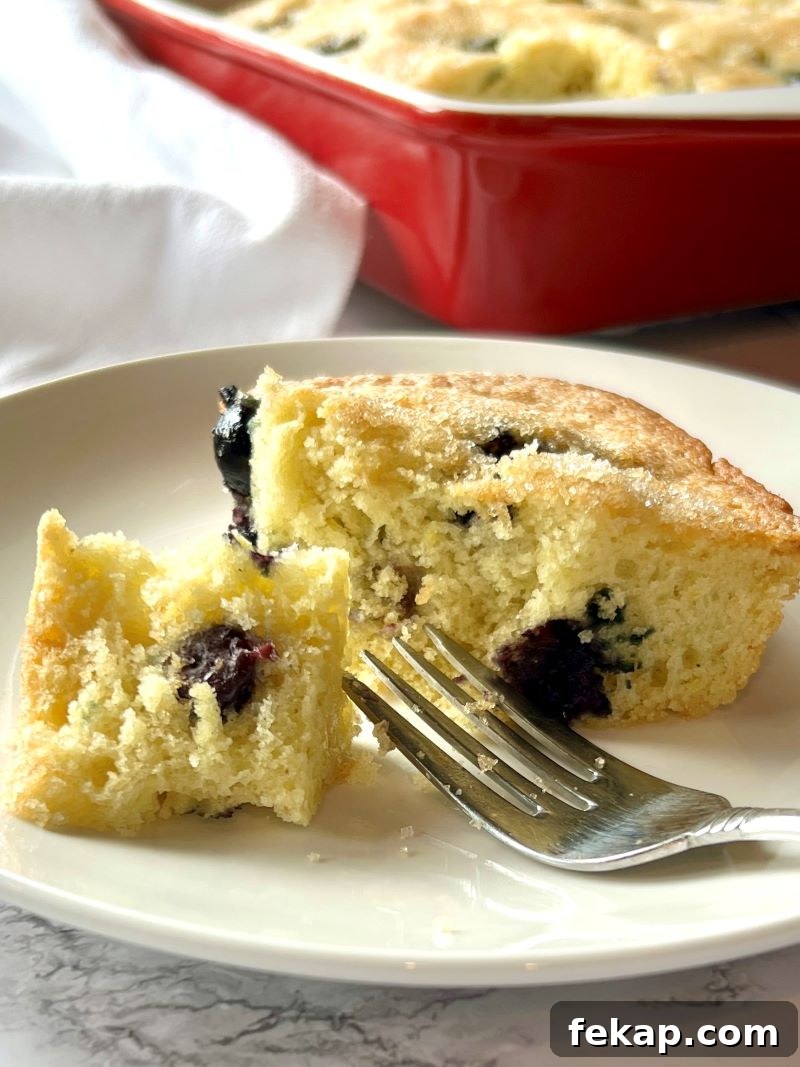 Blueberry Buckle Recipe with Fresh or Frozen Berries 11 img 16311 10
