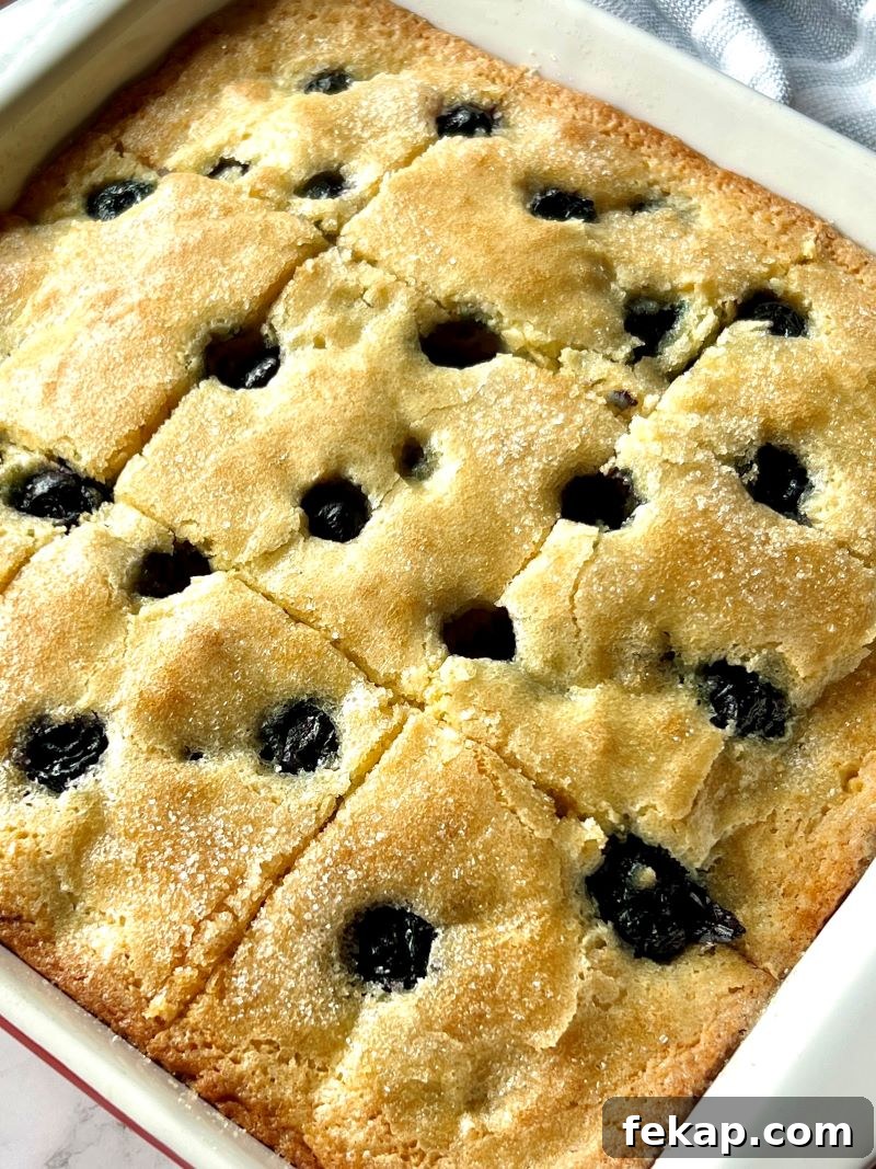 Blueberry buckle close-up