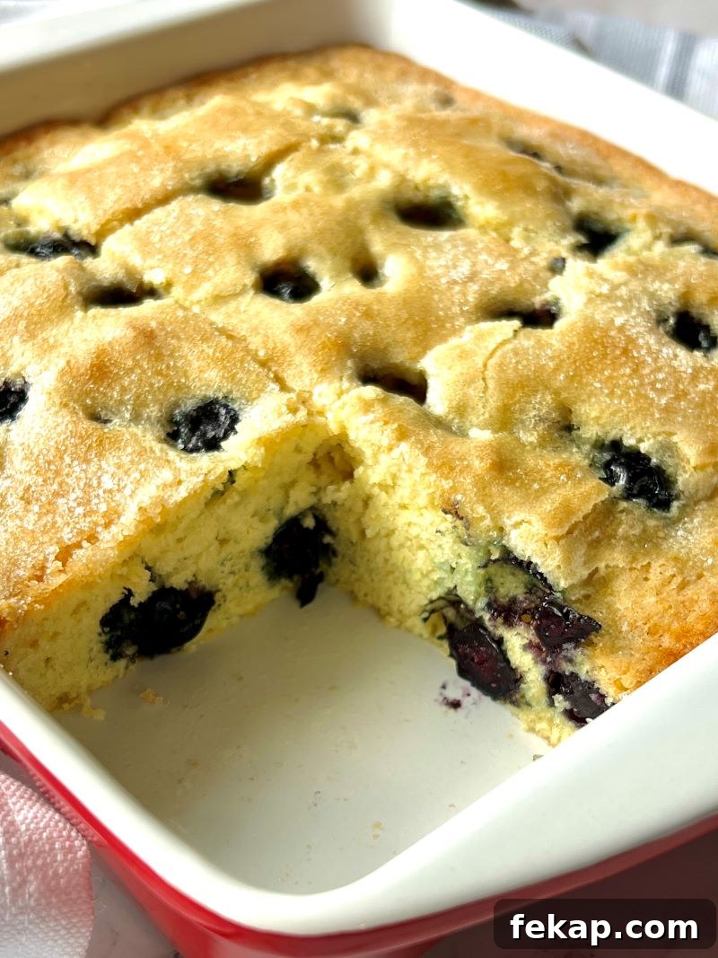 Blueberry Buckle Recipe with Fresh or Frozen Berries 3 img 16311 2