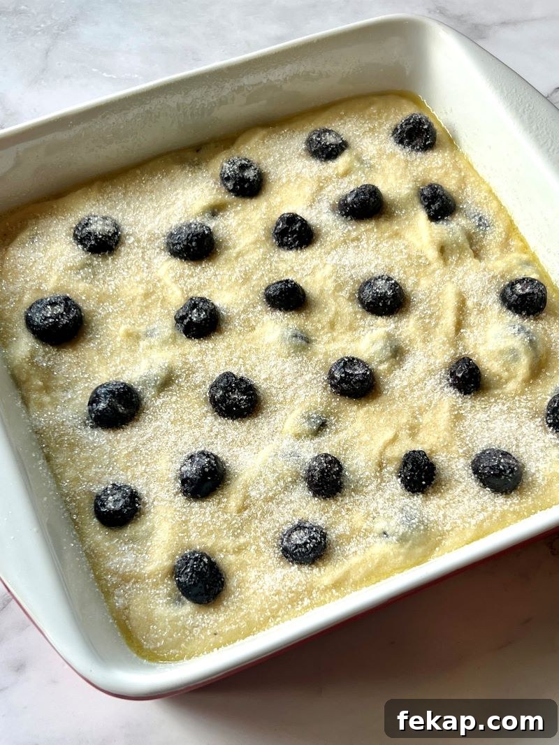Blueberry Buckle Recipe with Fresh or Frozen Berries 9 img 16311 8