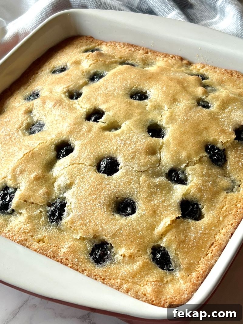 Blueberry Buckle Recipe with Fresh or Frozen Berries 10 Blueberry buckle baked in a baking pan.