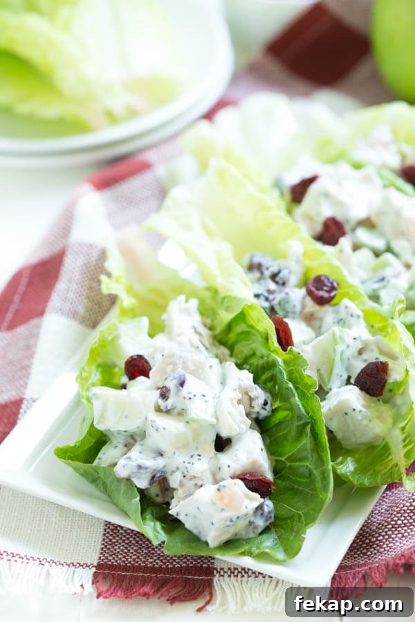 Balanced Weekly Meal Plan for Oct 8 2006 6 Apple Cranberry Apricot Chicken Salad Lettuce Wraps