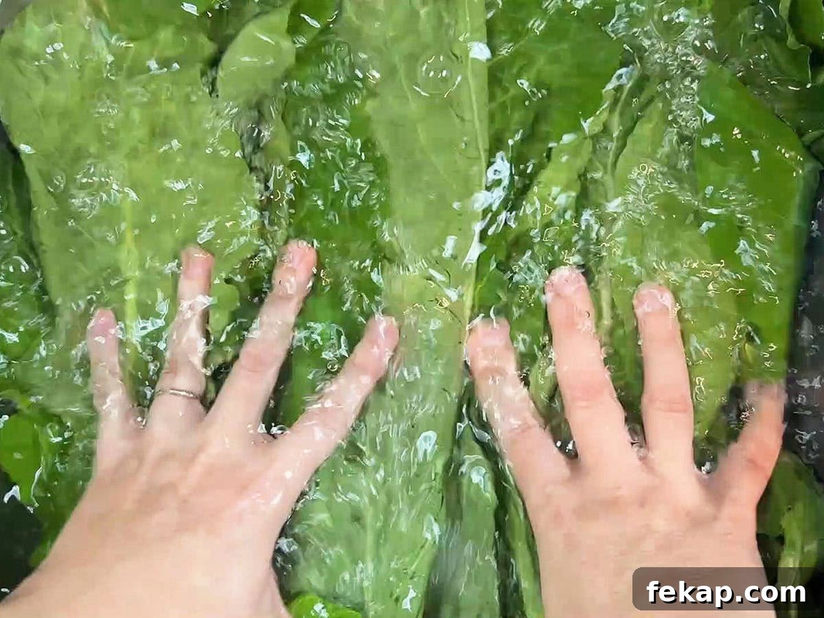 How to Make Southern Turnip Greens 4 Hands pushing turnip green leaves down into a sink full of water.