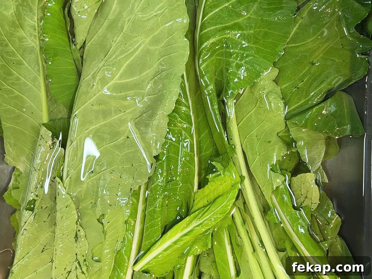 How to Make Southern Turnip Greens 5 Turnip green leaves soaking in a sink full of cool water.