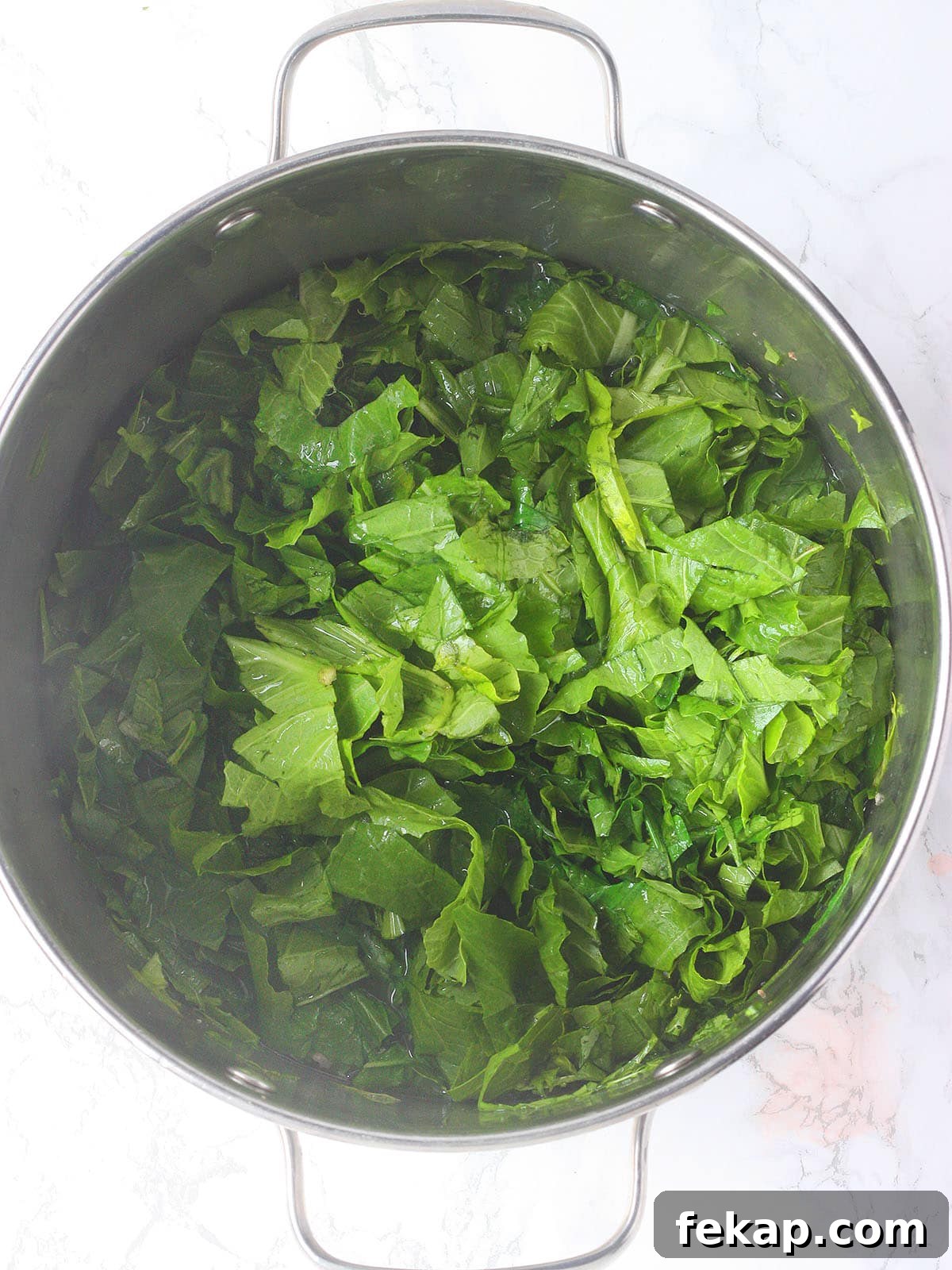 How to Make Southern Turnip Greens 9 uncooked chopped turnip greens in a stainless steel pot