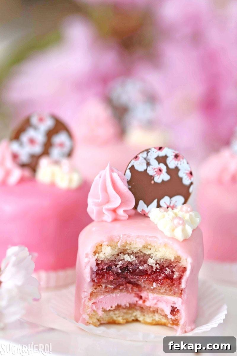 Ombre Cherry Blossom Petit Fours Ombre pink cherry petit fours