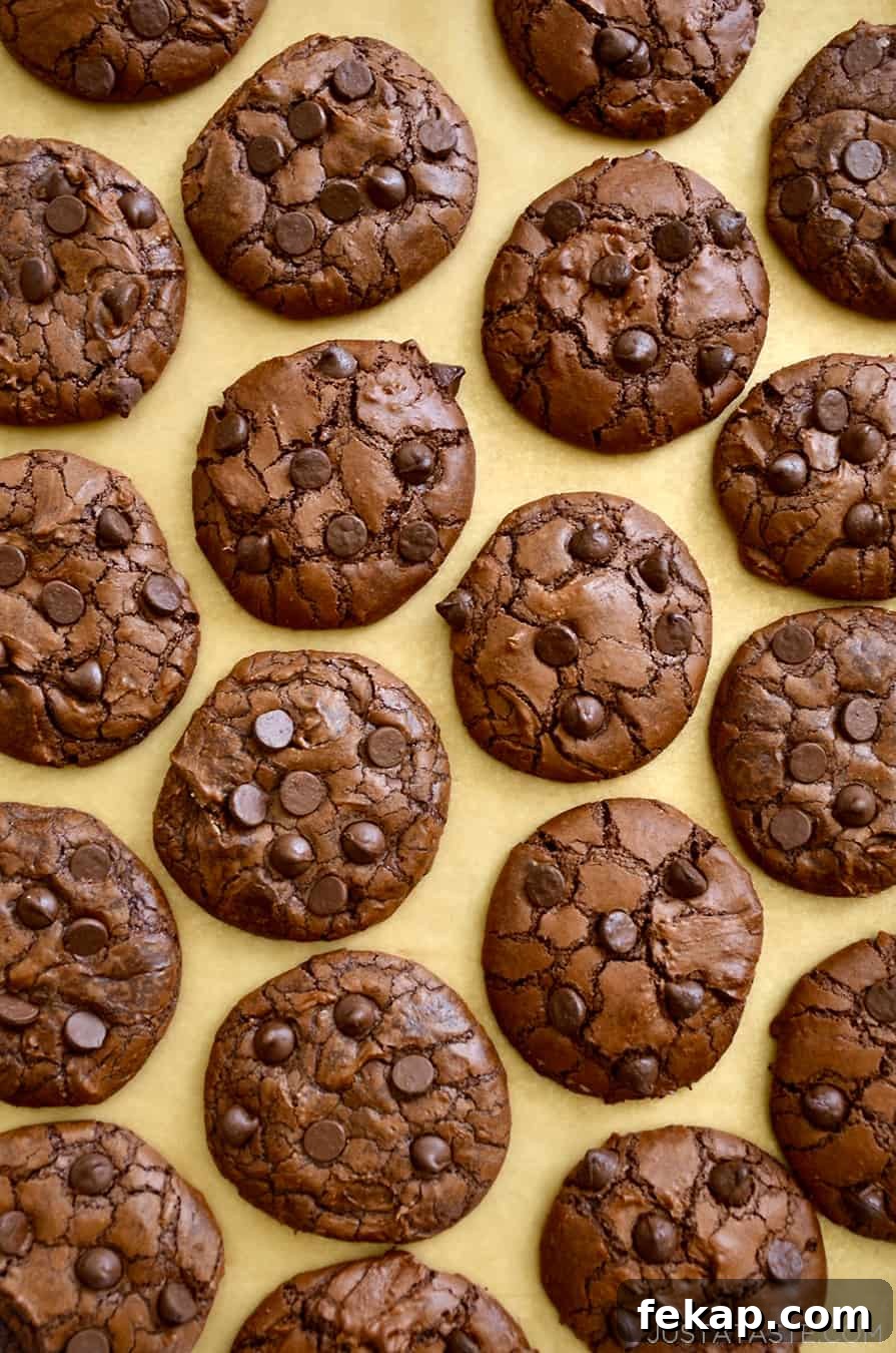 Fudgy Chocolate Brownies Recipe 11 Chocolate Chip Brownie Cookies Recipe