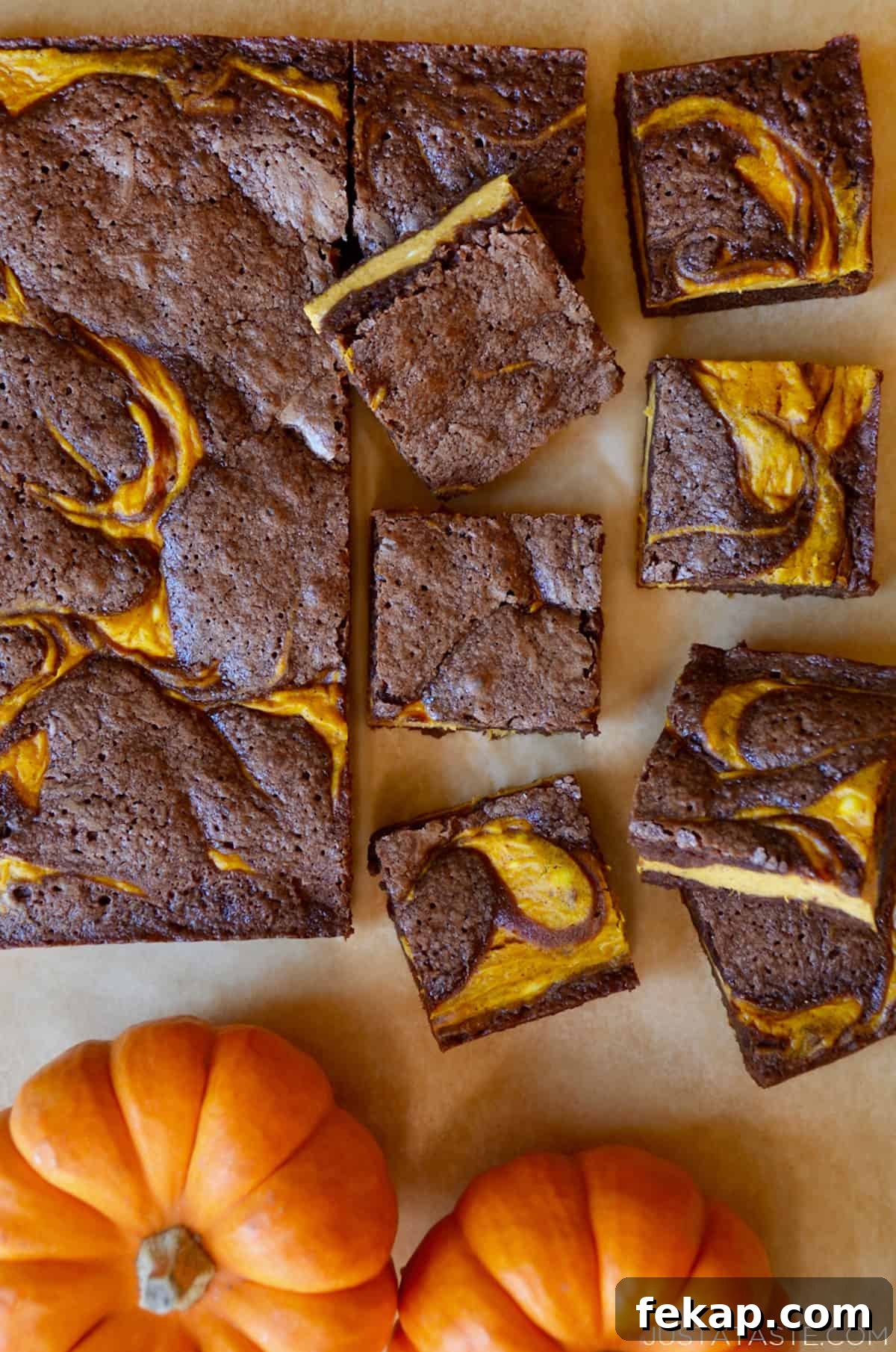 Fudgy Chocolate Brownies Recipe 15 Pumpkin cheesecake brownies out of their pan and with several squares of brownies cut off and two small pumpkins beside them.