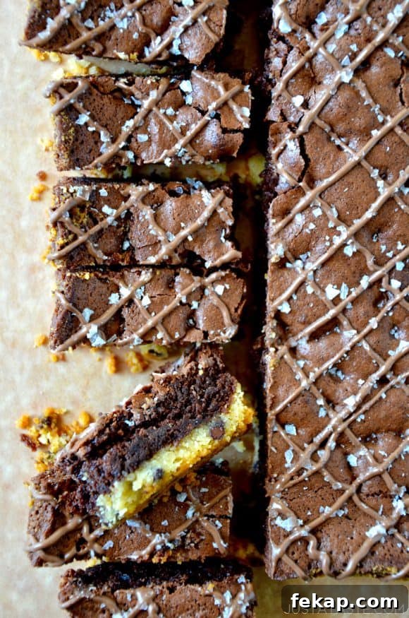 Fudgy Chocolate Brownies Recipe 17 Sliced Chocolate Chip Shortbread Brownies