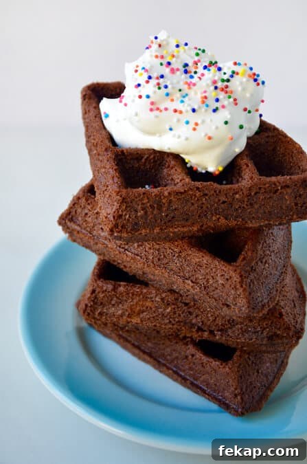 Fudgy Chocolate Brownies Recipe 20 5-Minute Brownie Waffles Recipe