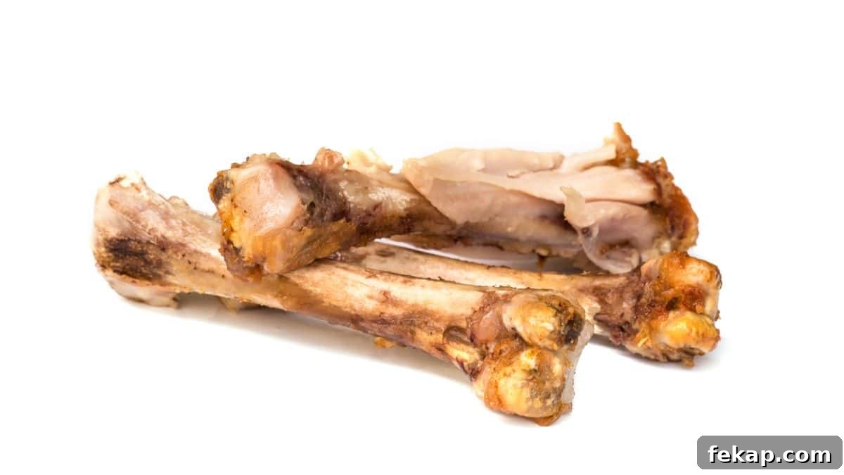 15 Common Foods That Are Toxic to Dogs 11 chicken bones